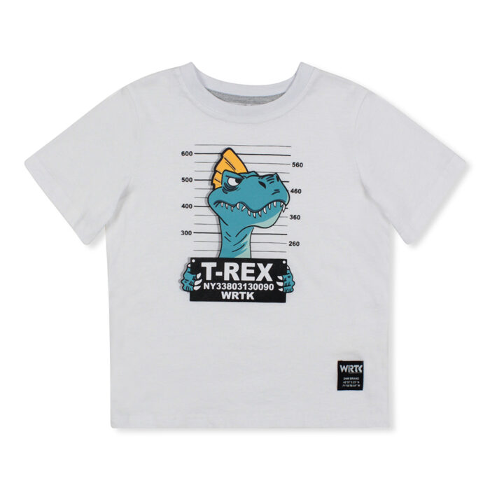 Boys Print Jersey Short Sleeves Tee - Image 3